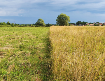 Izvješće o javnoj raspravi o prijedlogu plana upravljanja područjem ekološke mreže Klinča Sela Izvješće o javnoj raspravi o prijedlogu plana upravljanja područjem ekološke mreže Klinča Sela