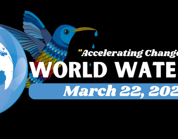 Budi promjena koju želiš vidjeti