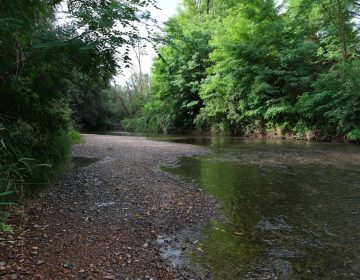 Obavijest o provođenju javne rasprave za prijedlog Plana upravljanja područjima ekološke mreže i zaštićenim područjem uz rijeku Sutlu (PU 081) Obavijest o provođenju javne rasprave za prijedlog Plana upravljanja područjima ekološke mreže i zaštićenim područjem uz rijeku Sutlu (PU 081)