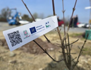 Sadnja autohtonih vrsta u Ivanić-Gradu