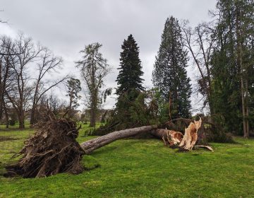Olujno nevrijeme uzrokovalo štete