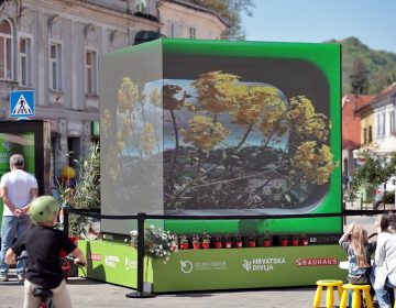 Digitalna izložba u srcu Samobora otkrila skriveni dragulj prirode – samoborsku gromotulju